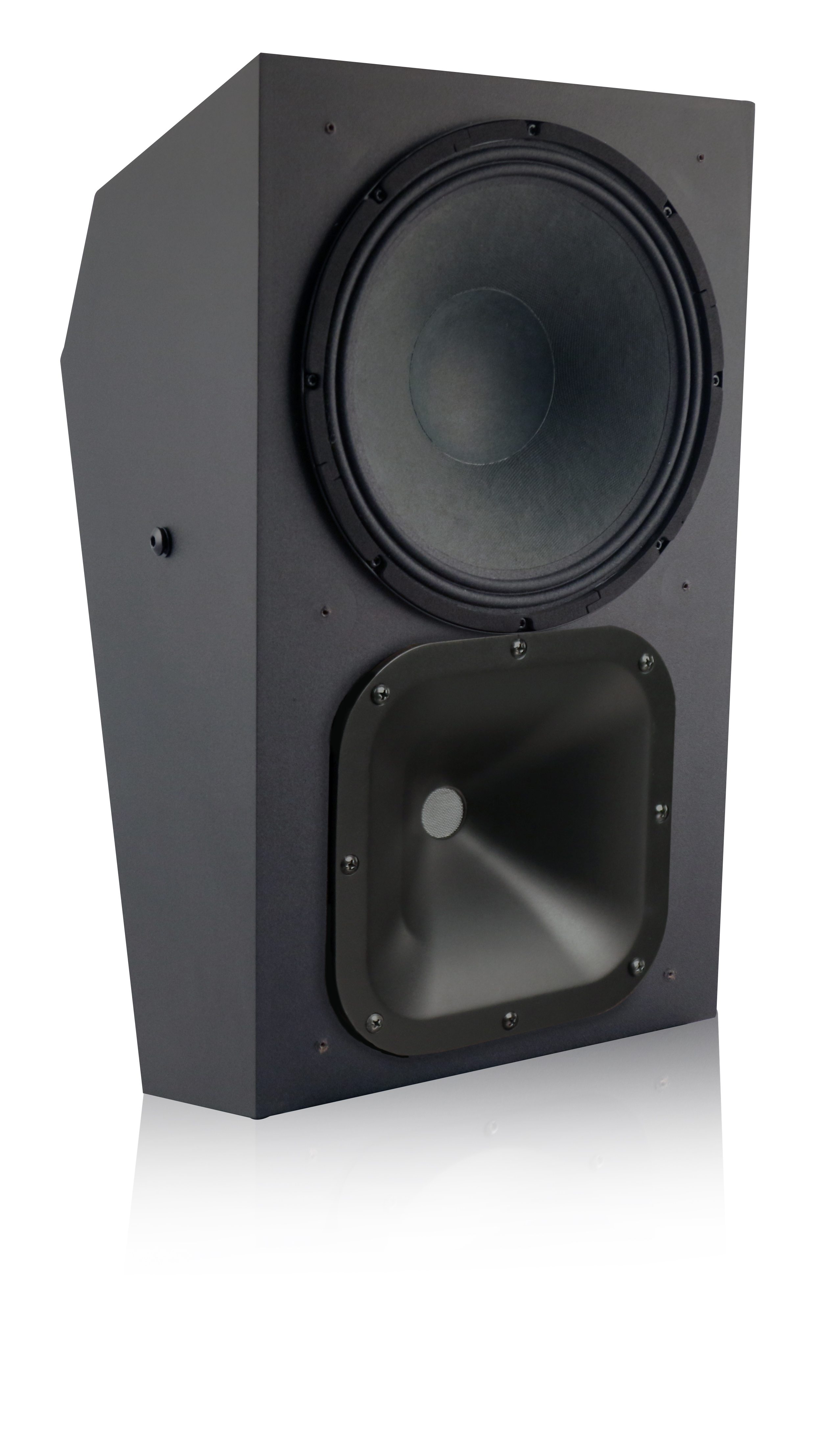 SR-1000 Speaker - Left Angle (No Grill)